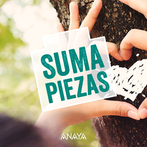 suma-piezas-anaya-secundaria-bachillerato suma-piezas-anaya-secundaria-bachillerato