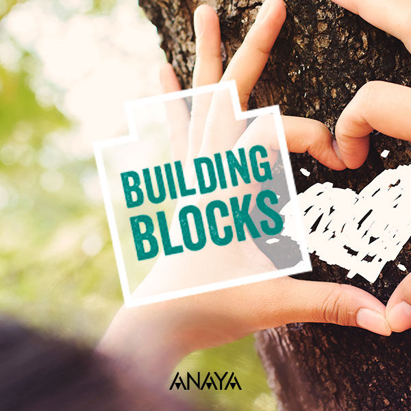 building-blocks building-blocks