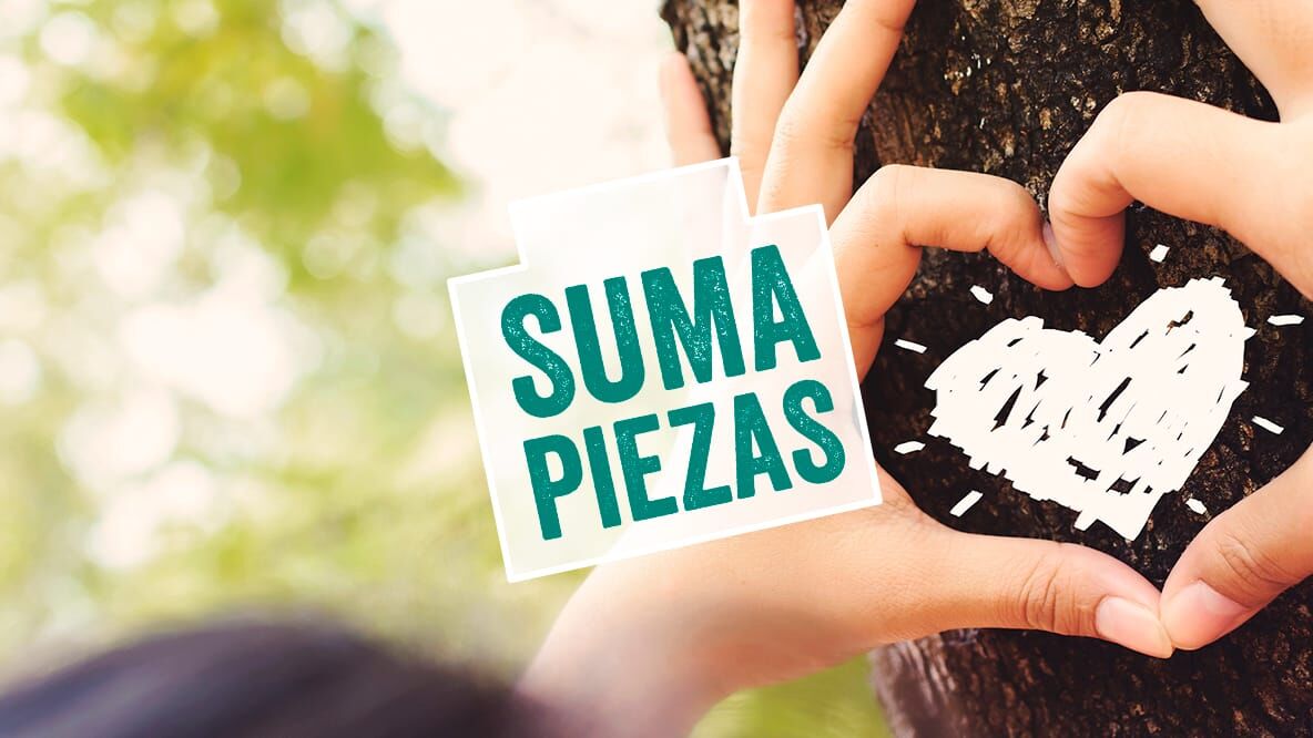 suma-piezas-proyecto-educativo-eso-y-bachillerato-anaya suma-piezas-proyecto-educativo-eso-y-bachillerato-anaya