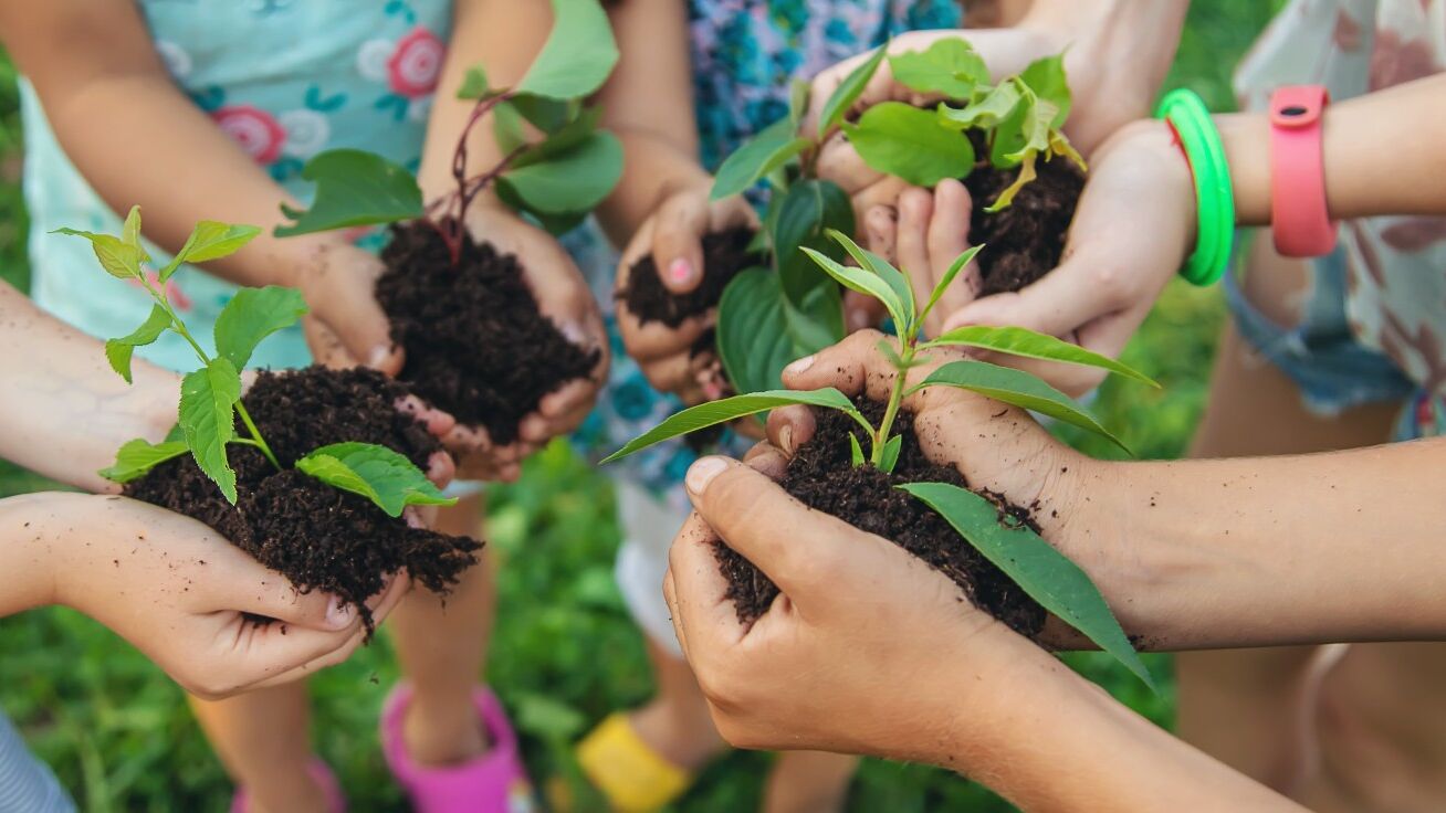Qué son los ODS y cómo incluirlos en la programación de tu aula