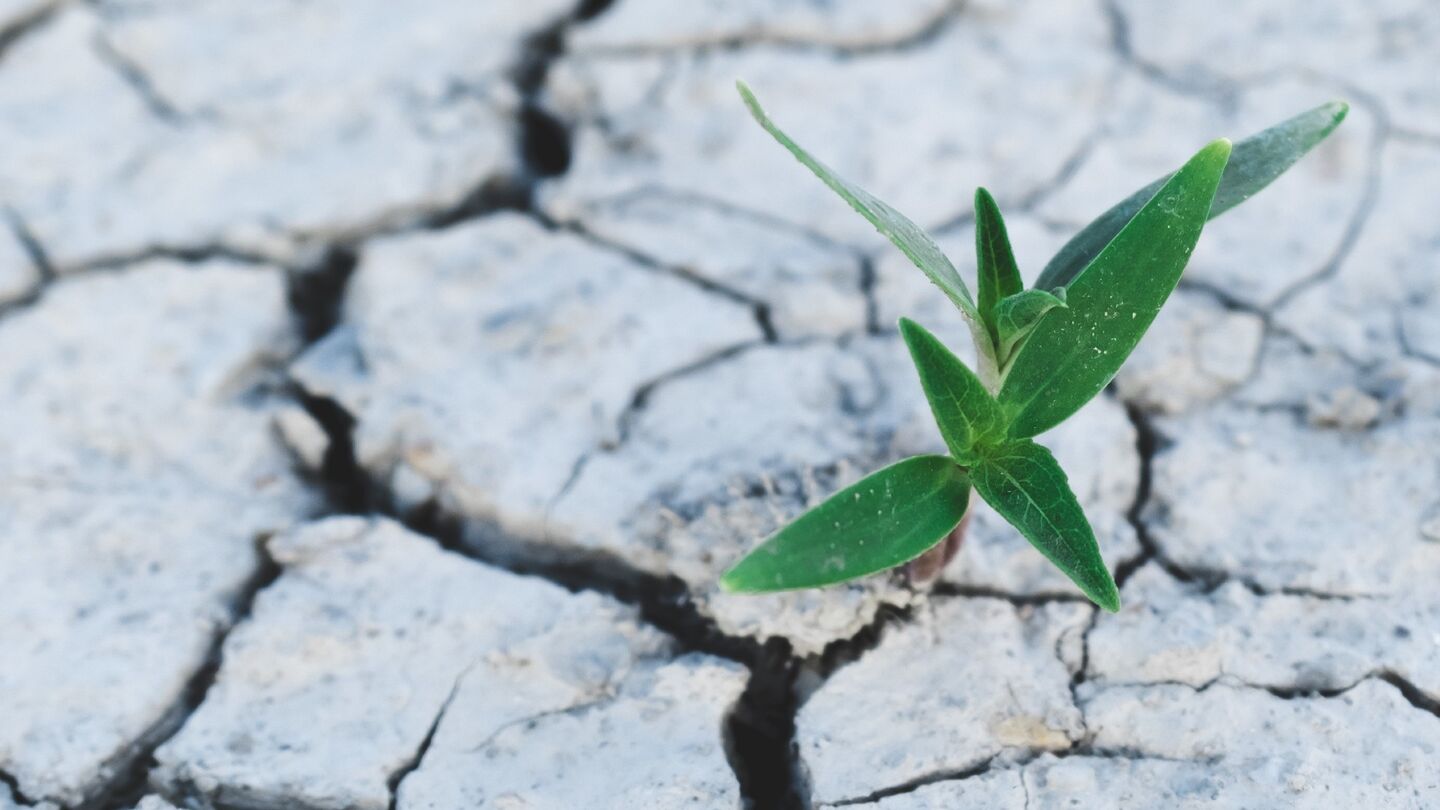 festival-clipmetrajes-unesco_23-24_actualidad