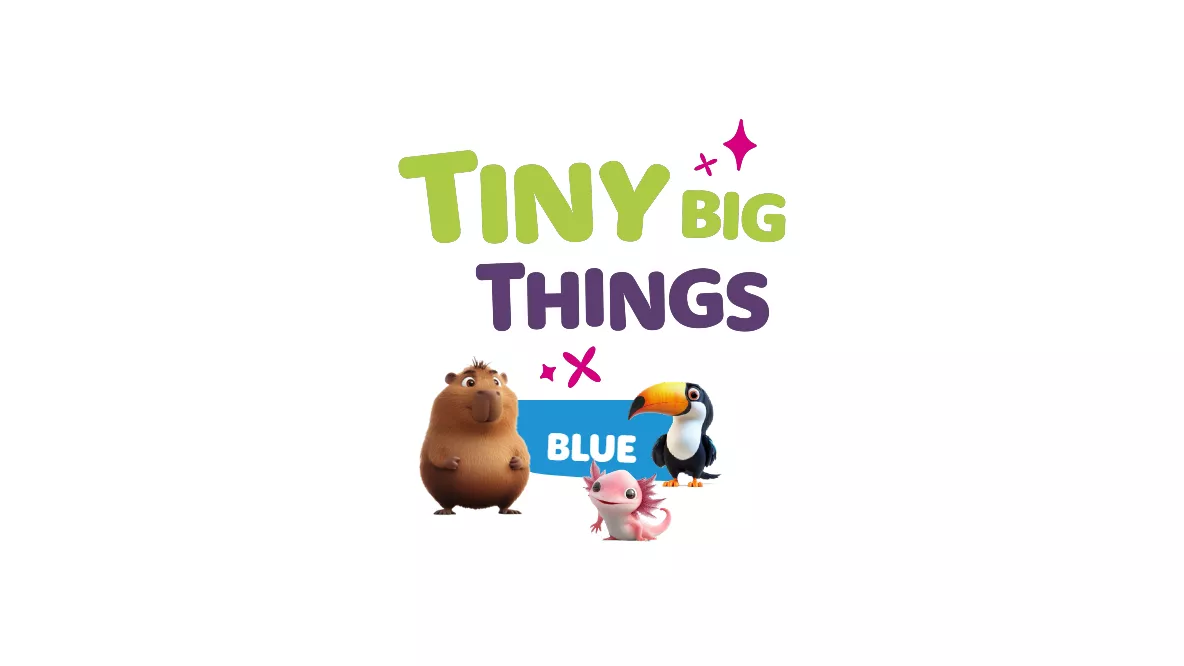 tiny-big-things-blue_c