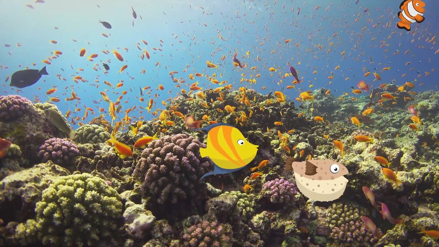 videodocumentales_01