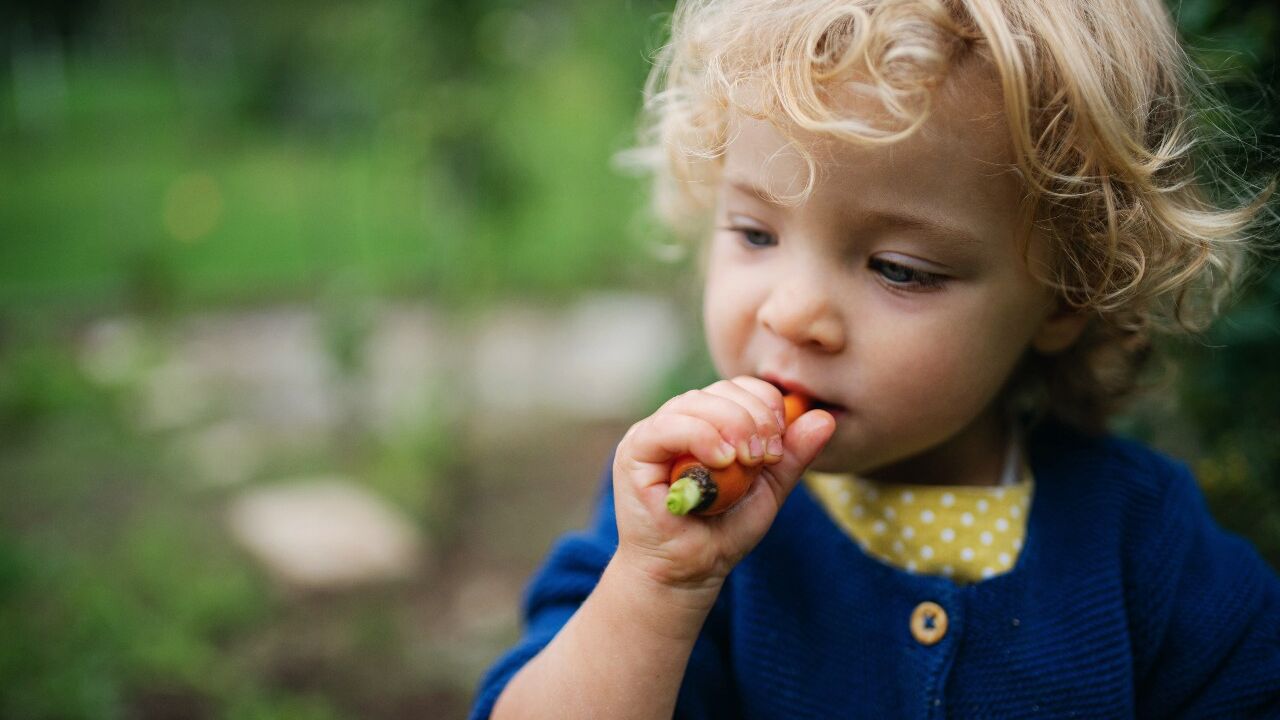 La importancia de la estimulación sensorial en Educación Infantil