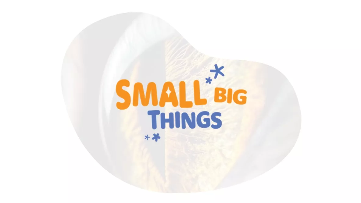 small-big-things_c