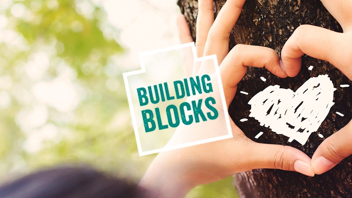 building-blocks-anaya-educacion