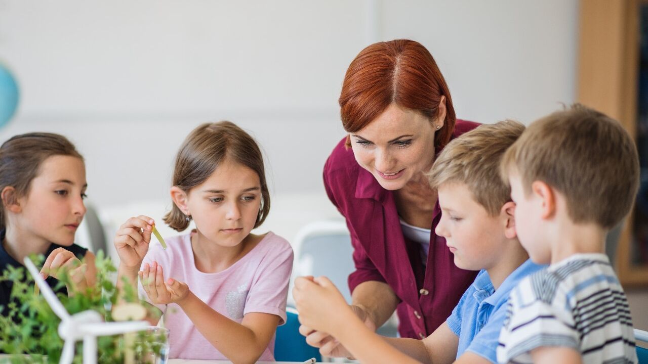 Introducir los contenidos de educación ambiental en tu aula Introducir los contenidos de educación ambiental en tu aula