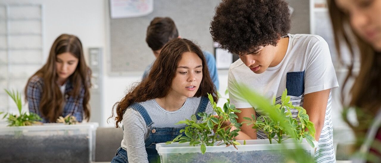 8 actividades de educación ambiental para hacer en clase 02