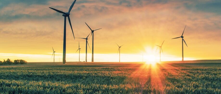 EDS, asignatura transversal y local