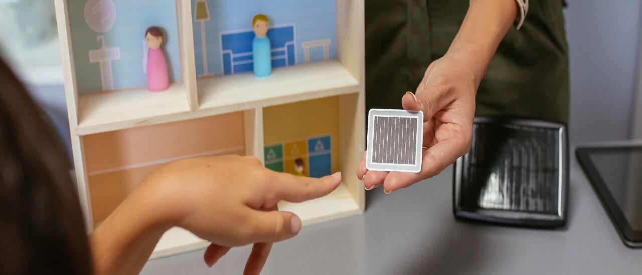 8 actividades de educación ambiental para hacer en clase 04