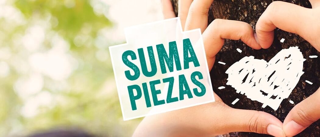 suma-piezas-proyecto-educativo-eso-y-bachillerato-anaya suma-piezas-proyecto-educativo-eso-y-bachillerato-anaya