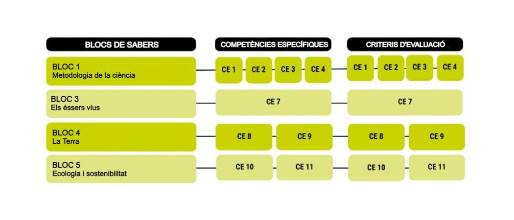 Canvis curriculars Biologia i Geologia 1 ESO Comunitat Valenciana Canvis curriculars Biologia i Geologia 1 ESO Comunitat Valenciana