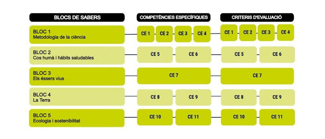 Canvis curriculars Biologia i Geologia 3 ESO Comunitat Valenciana Canvis curriculars Biologia i Geologia 3 ESO Comunitat Valenciana