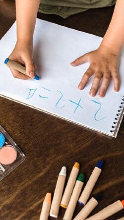 capacidad-de-calculo