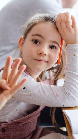 clave_ciclidad clave_ciclidad