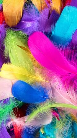 clave-sensorial-cinco-sentidos clave-sensorial-cinco-sentidos