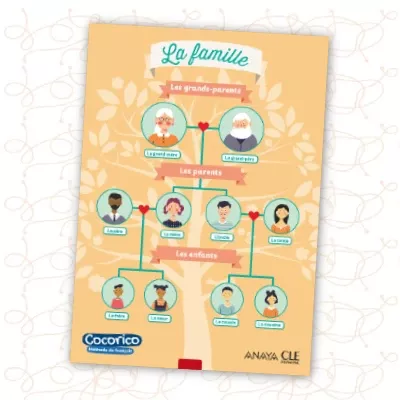 material-aula_cocorico