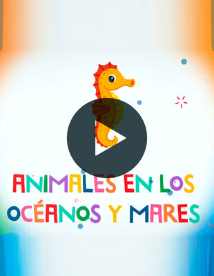 8aeef913d1759b9ce8cb2a168a0da32e9f426d81_ALG000427.jpg 8aeef913d1759b9ce8cb2a168a0da32e9f426d81_ALG000427.jpg