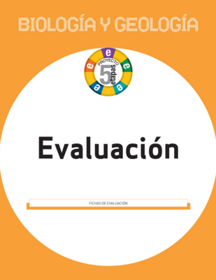 60489e84ca25f56857551b2865e8f52d0633b89e_BS01121701_fichas_evaluacion.png